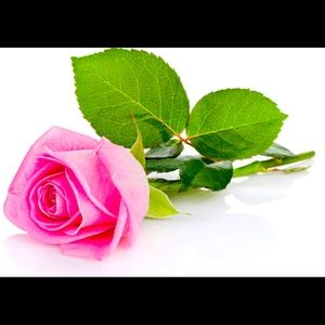 Meet your Posher, Sonja